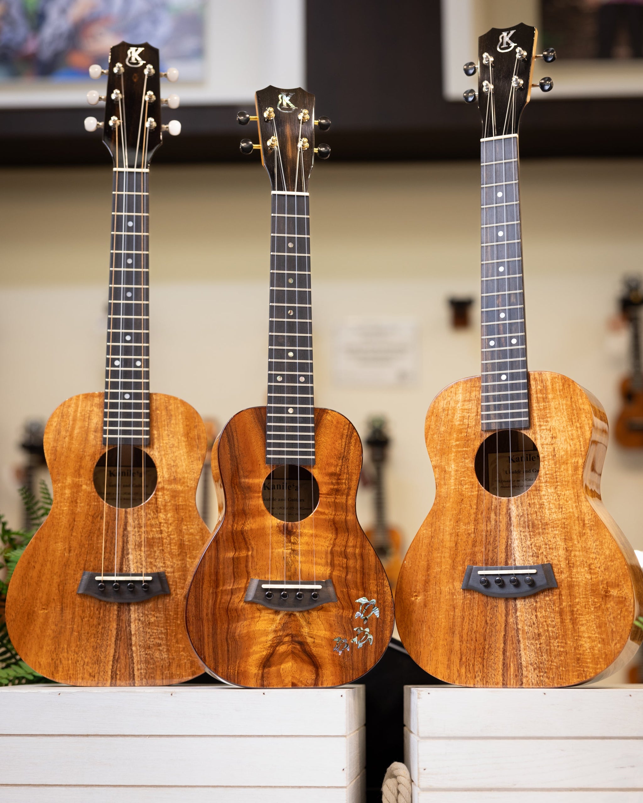 Kanileʻa ʻUkulele – Kanileʻa ʻUkulele & Guitar