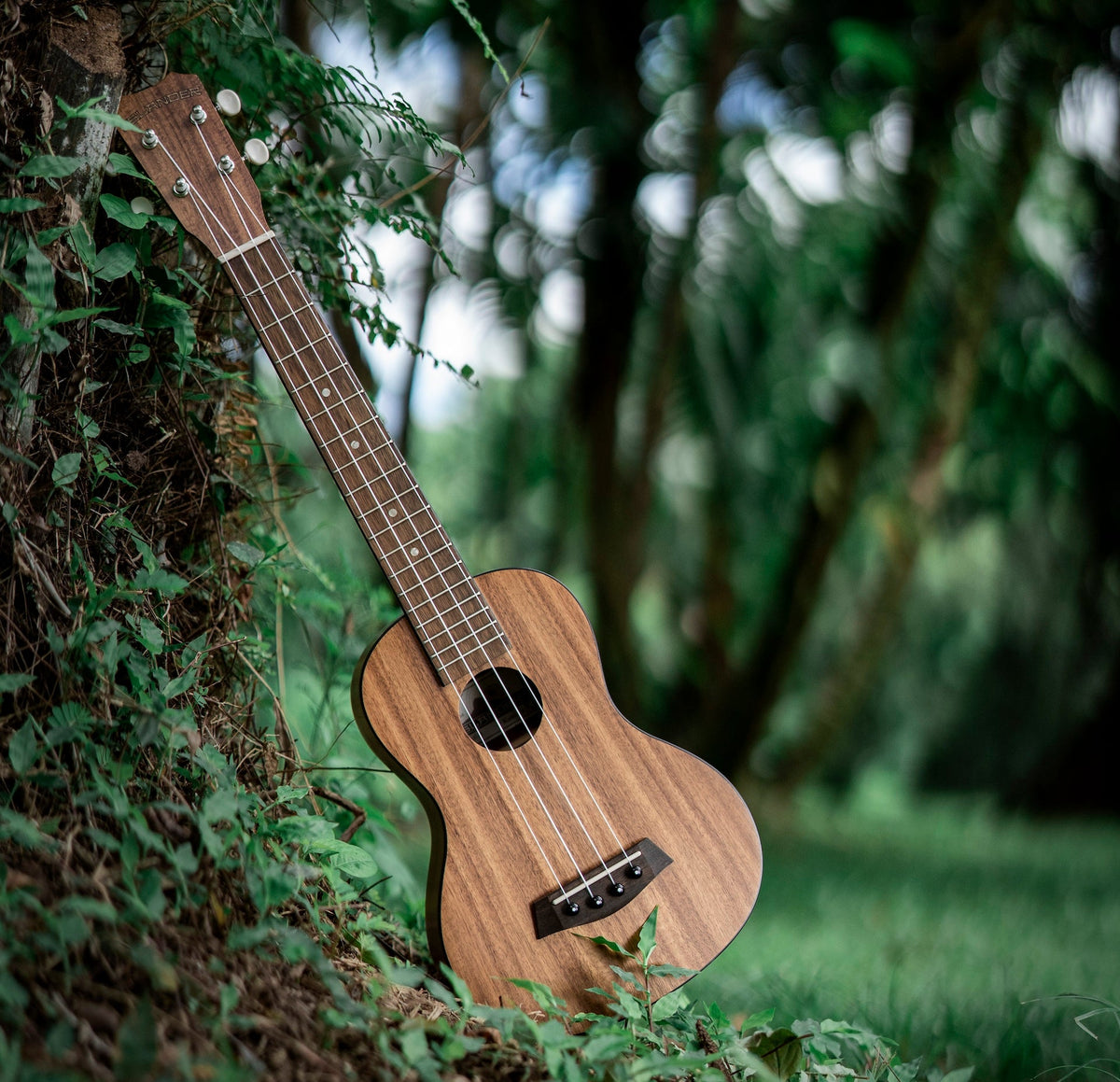 Islander ʻUkulele – Kanileʻa ʻUkulele & Guitar