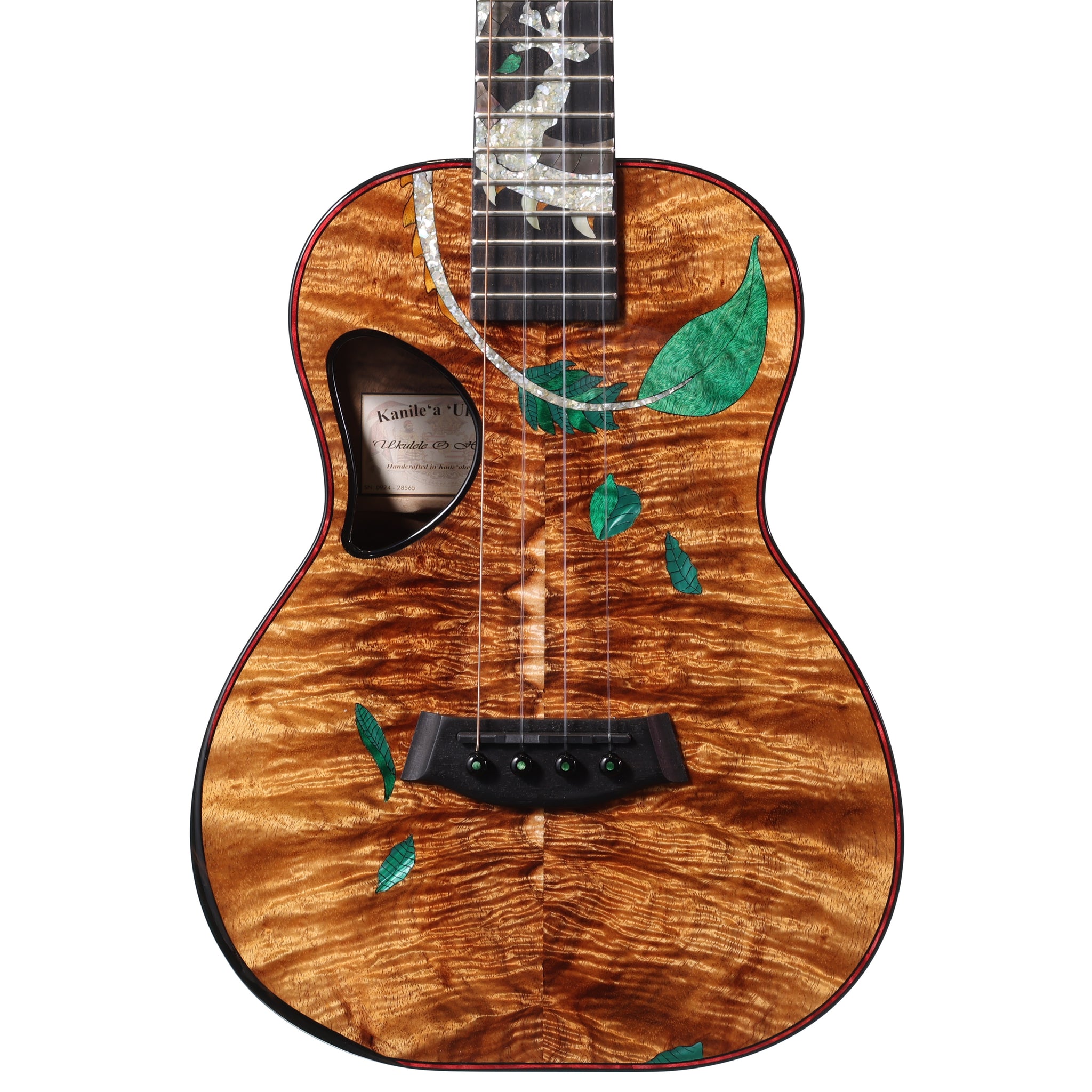 Signature Series 