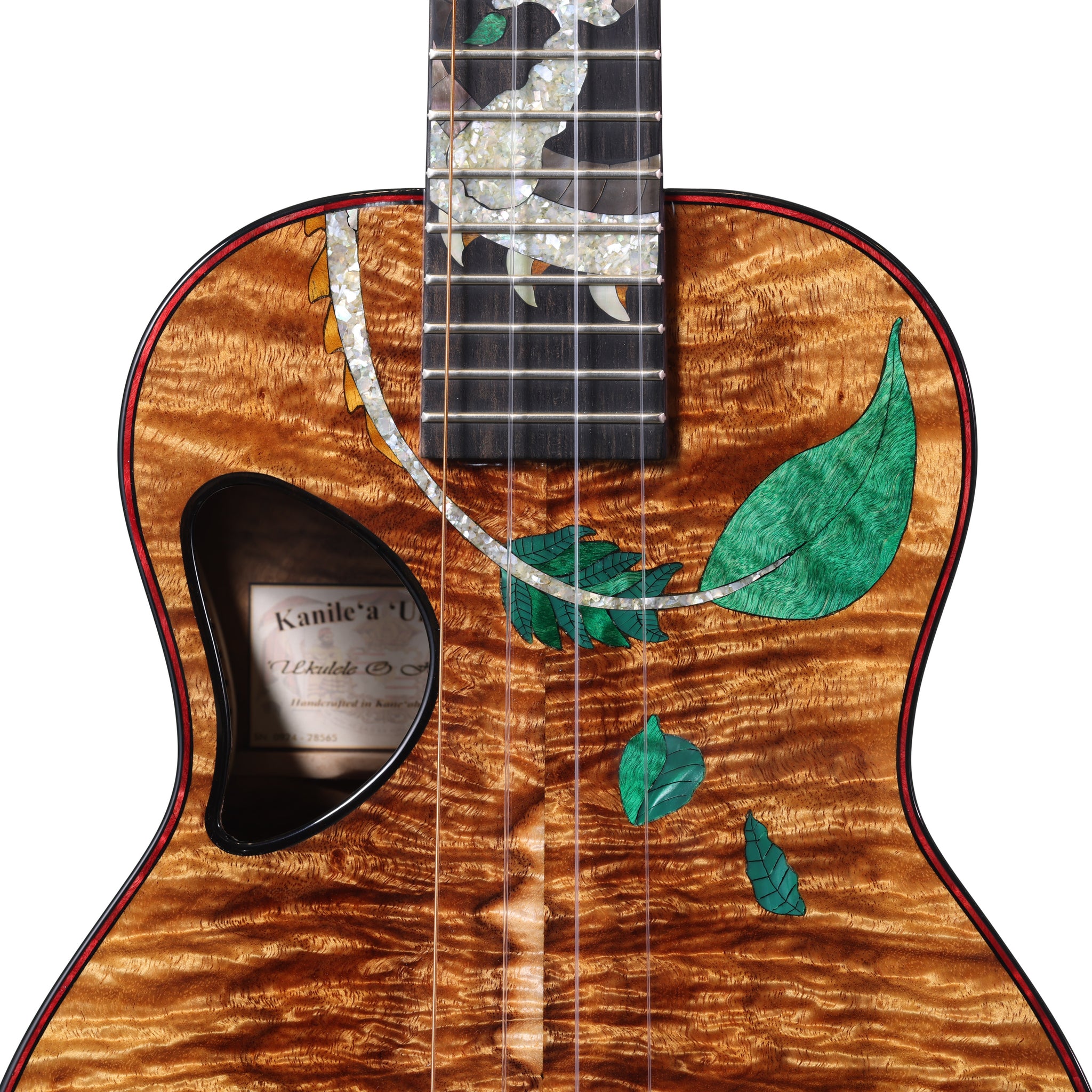Signature Series 