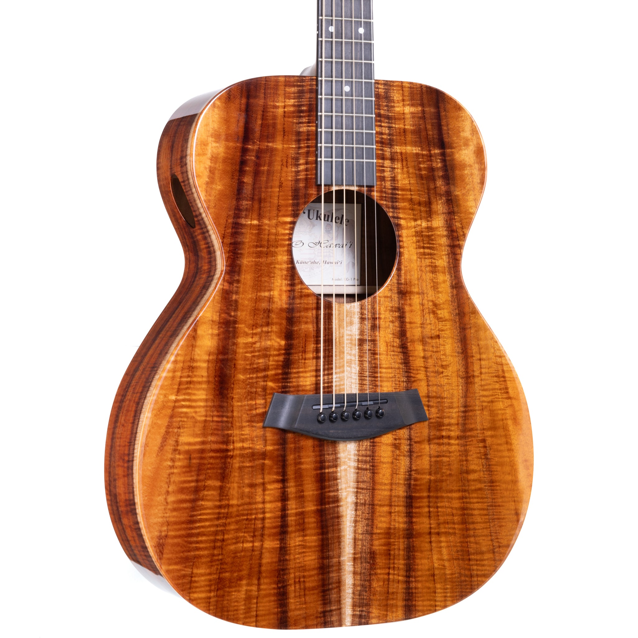 KG-1_PRO_G0009-3997_2048x.jpg?