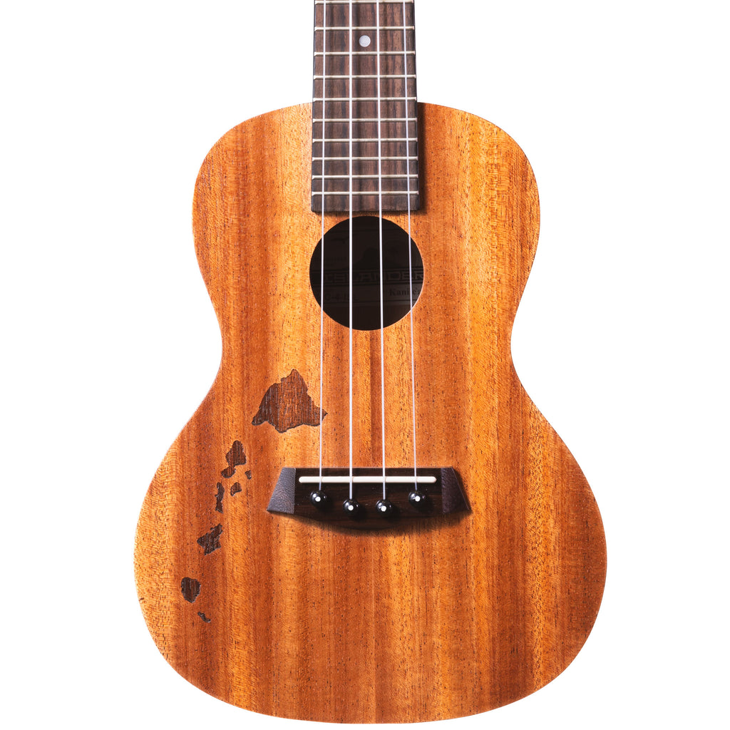 #`Ukulele Size_concert