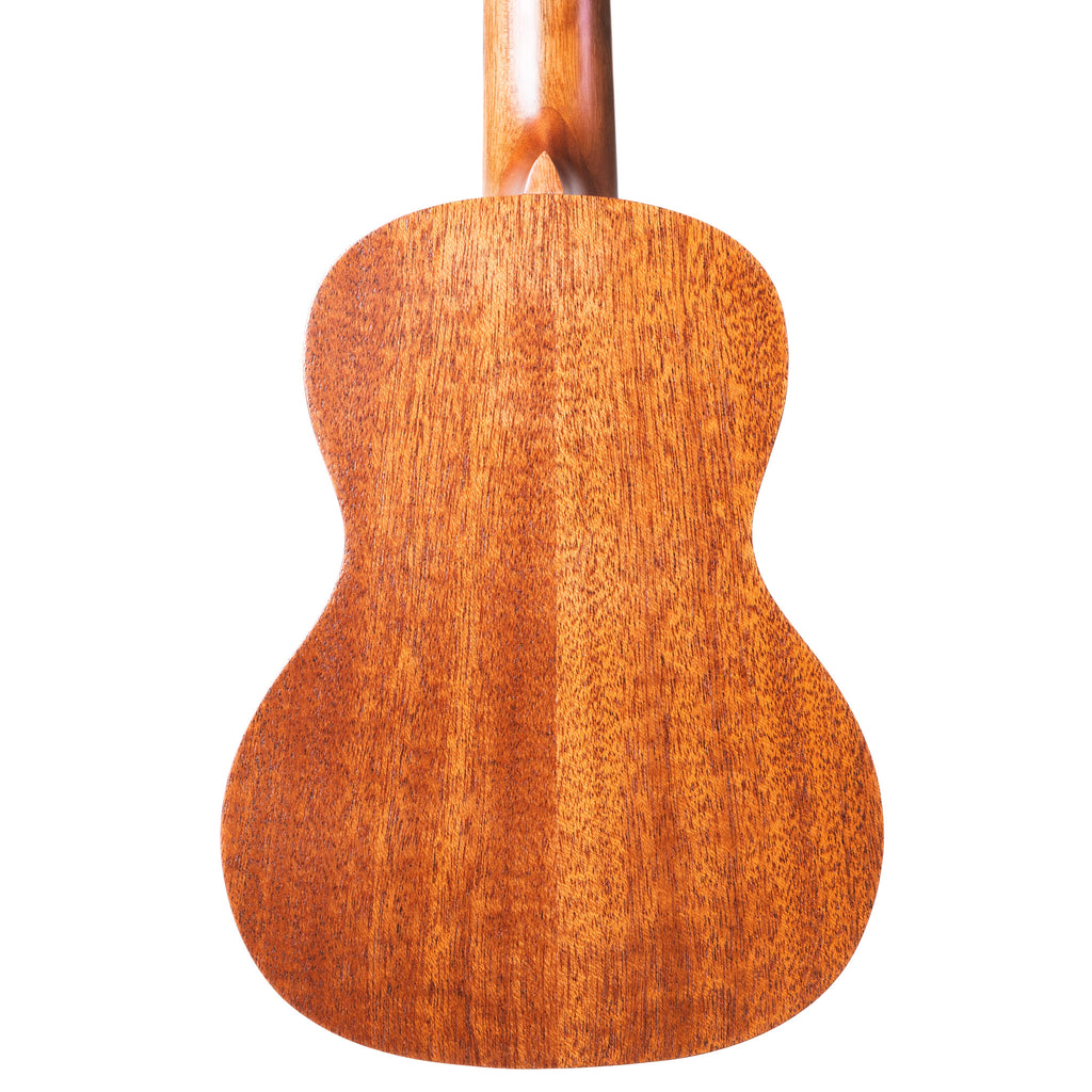 #`Ukulele Size_concert