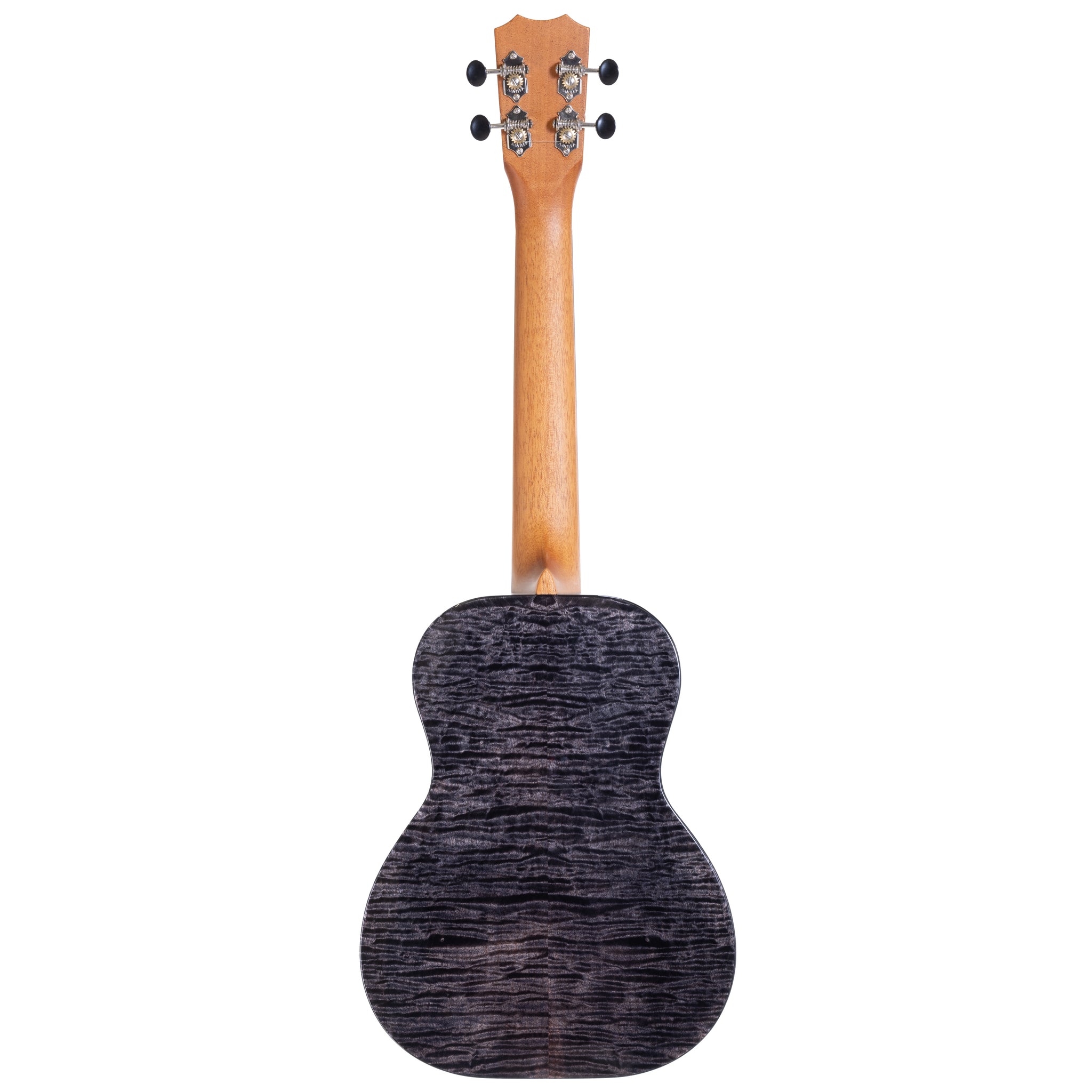 kohaku❣️ Kohaku 😍